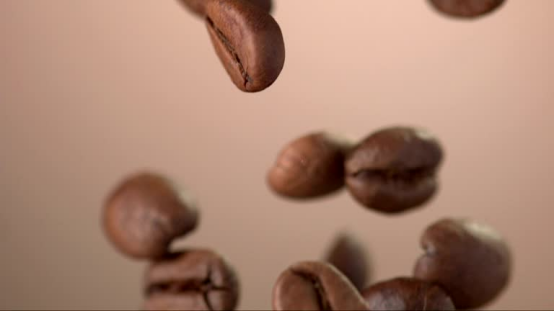 Caffeine Half-Life Revealed: How Long Do the Effects of a Cup of Coffee Last?